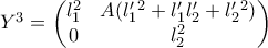 Y^{ 3 }=\begin{pmatrix} l_{ 1 }^2 & A(l'_{ 1 }^{ 2 }+l'_{ 1 }l'_{ 2 }+l'_{ 2 }^{ 2 }) \\ 0 & l_{ 2 }^2 \end{pmatrix}