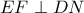 EF\perp DN