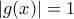 |g(x)|=1