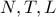 N, T, L N, T, L