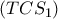 \displaystyle{(TCS_1)}