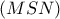\left( {MSN} \right)