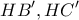 \displaystyle{ 
HB',HC' 
}