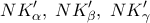 \displaystyle{ 
NK'_\alpha  ,\;NK'_\beta  ,\;NK'_\gamma  \; 
}