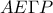 AE\Gamma P