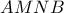 \displaystyle{AMNB}