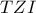 TZI