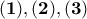 \bf{ (1), (2), (3)}