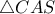  \triangle CAS