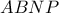 ABNP