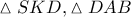 \vartriangle SKD,\vartriangle DAB