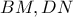 BM,DN