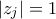|z_j|=1
