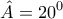\displaystyle{ 
\hat A = 20^0  
}