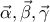 \vec{\alpha }, \vec{\beta },\vec{\gamma  }