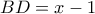 BD=x-1