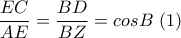 \displaystyle{ \frac{EC}{AE} = \frac{BD}{BZ} = cos B~(1)