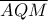 \overline {AQM} 
