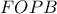 FOPB
