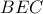  BEC