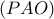 \left ( PAO \right )