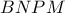 BNPM