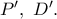 P',\ D'. P',\ D'.