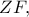 ZF,