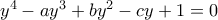 y^4-ay^3+by^2-cy+1=0