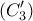 \displaystyle{(C'_3)} \displaystyle{(C'_3)}