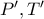 P',T'