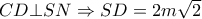 CD \bot SN \Rightarrow SD=2 m\sqrt{2}