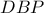 DBP