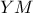 YM