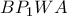 BP_{1}WA BP_{1}WA
