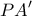 \displaystyle{PA' }
