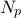 \displaystyle{N_p}