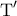 \displaystyle{{\rm T}{'} }
