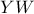 YW