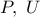 P,\ U