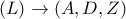 (L) \to (A,D,Z)