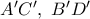 A'C',\ B'D'