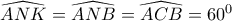\widehat{ANK}=\widehat{ANB}=\widehat{ACB}=60^0