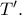 T'.