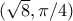 (\sqrt{8},\pi/4) (\sqrt{8},\pi/4)