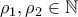 \rho_1,\rho_2 \in \mathbb{N}