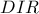 DIR