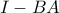 I-BA