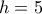 h = 5
