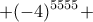 \displaystyle{+(-4)^{5555}+}